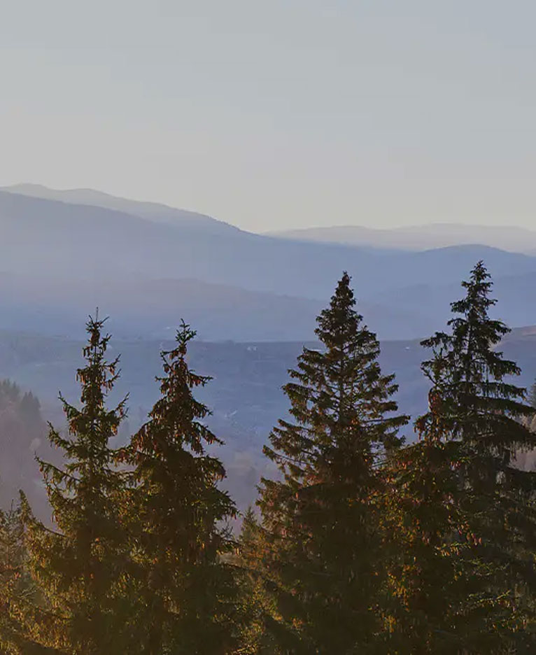 Kožená melamínová doska